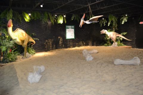 There’s An Indoor Dinosaur-Themed Playground In Arkansas Called Dino Dig