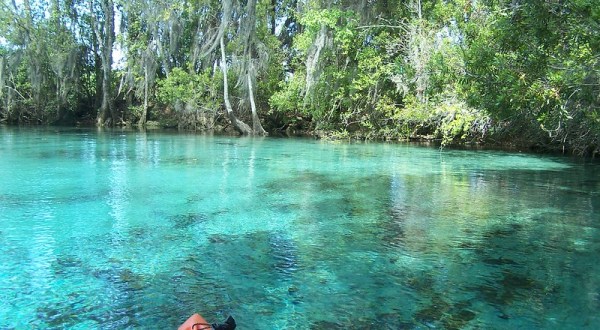 7 Natural Wonders Unique To The Sunshine State That Should Be On Everyone’s Florida Bucket List
