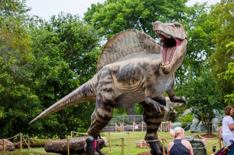 This Family-Friendly Park In Mississippi Has Dinosaurs, Two Museums, Nature Trails, And More