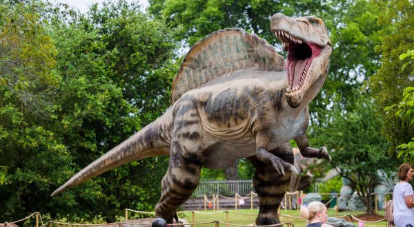 This Family-Friendly Park In Mississippi Has Dinosaurs, Two Museums, Nature Trails, And More