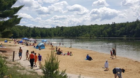 You’ll Want To Spend All Day At Sand Spring Lake, A Natural Pool In Pennsylvania