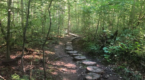 With Waterfalls And Boardwalks, The Little-Known Moncacy Hill Trail In Pennsylvania Is Unexpectedly Magical