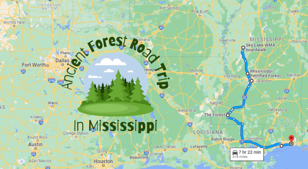 Spend Three Days In Three Ancient Forests On This Weekend Road Trip In Mississippi