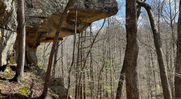 Bear Creek Outcropping Is A Beginner-Friendly Waterfall Trail In Mississippi That’s Great For A Family Hike