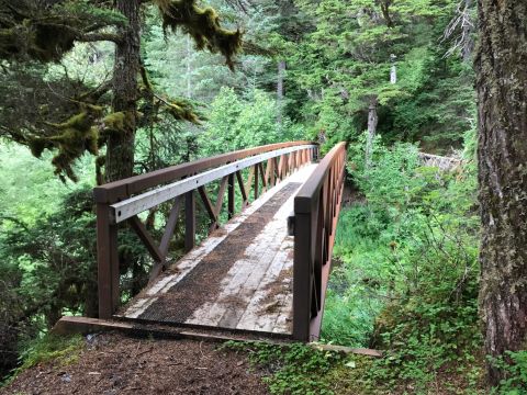 If There Are Only 3 Family Hikes You Ever Take In Alaska, Follow These Easy Trails