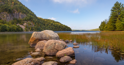 These 6 Lakes In Maine Are At Highest Risk For Toxic Blue-Green Algae