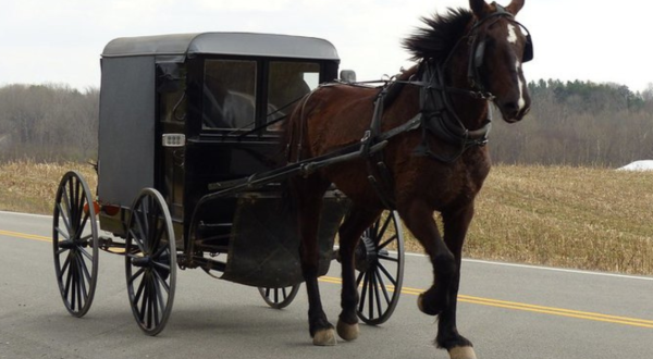 These 6 Places In Virginia Amish Country Are Unique And Worth Visiting