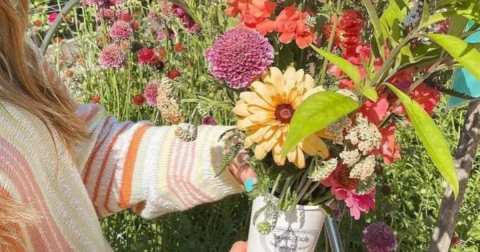 A Colorful U-Pick Flower Farm, Agape Fields In Kentucky Is Like Something From A Dream