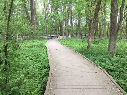 With Boardwalks, Footbridges, And More, The Little-Known Ritchey Woods Nature Preserve In Indiana Is Unexpectedly Magical