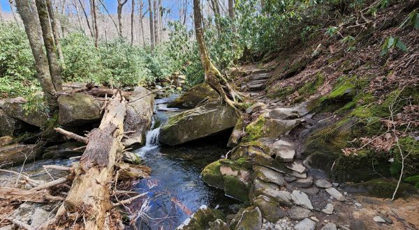 Ramsey Cascades Trail In Tennessee Will Lead You Straight To A Gorgeous Waterfall