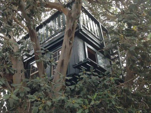 This Treehouse in Southern California Will Give You An Unforgettable Experience