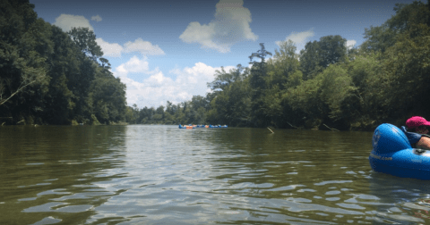 3 Lazy Rivers Around New Orleans That Are Perfect For Tubing On A Summer’s Day