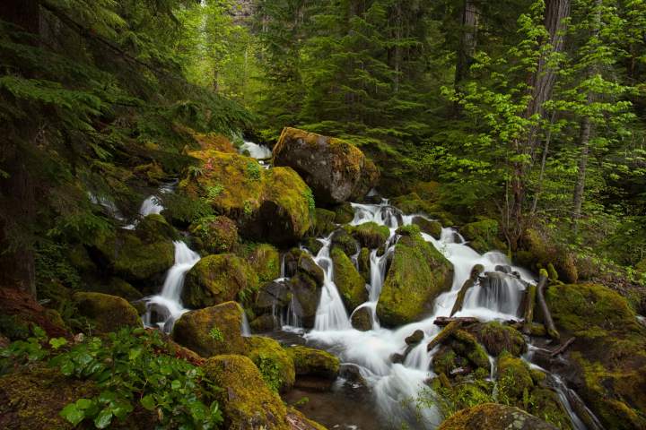 Highway of Waterfalls Oregon