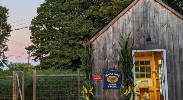 This Dairy Farm Store In Connecticut Has Incredible Gelato And Milk