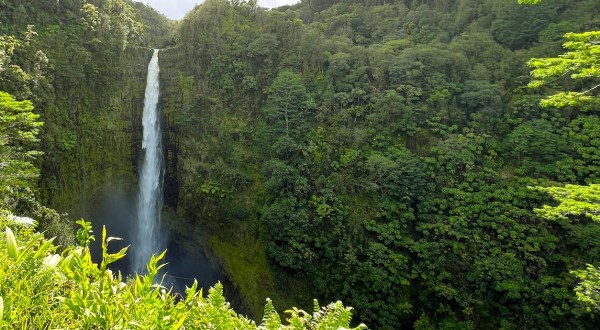 9 Easy And Beautiful Hikes Everyone In Hawaii Will Love