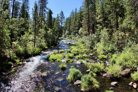 Spend Three Days In Three State Parks On This Weekend Road Trip In Northern California