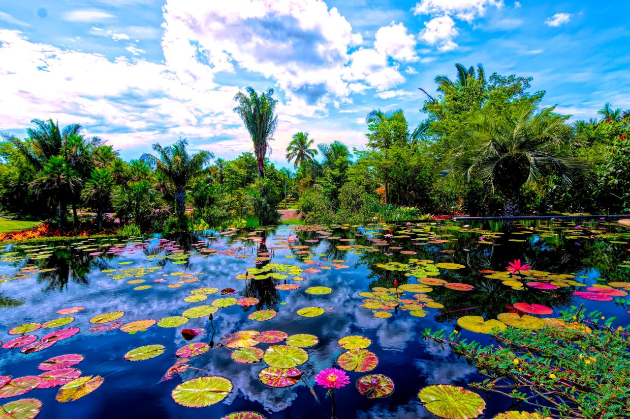 Stop And Smell The Flowers At The 14 Most Stunning And Impressive Botanical Gardens In The United States