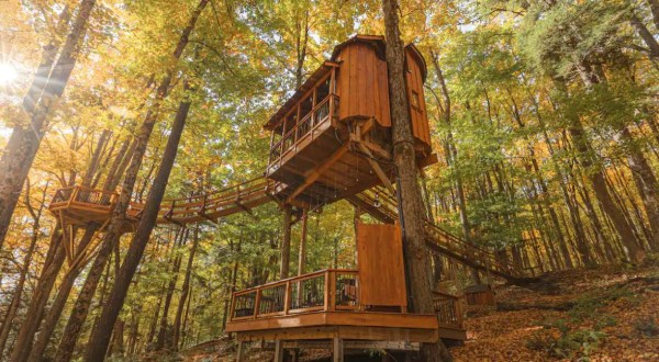 Sleep Among Towering Maples At The Chez’ Tree Rest Treehouse In New York