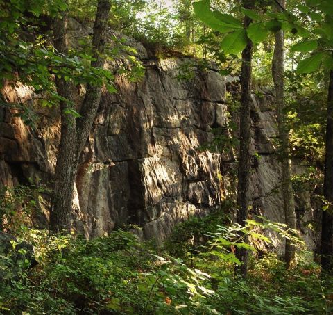 With Forest And River Views, The Little-Known Mamacoke Hill Trail In Connecticut Is Unexpectedly Magical