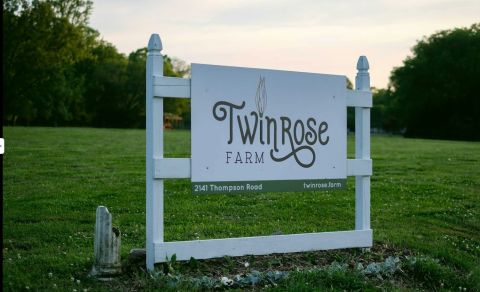 You'll Want To Visit Twin Rose Farm, A Dreamy Flower Farm In Tennessee This Spring