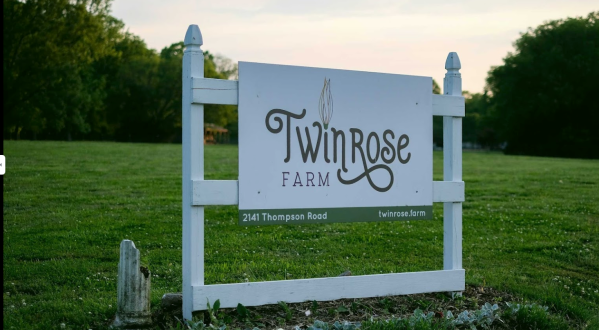 You’ll Want To Visit Twin Rose Farm, A Dreamy Flower Farm In Tennessee This Spring