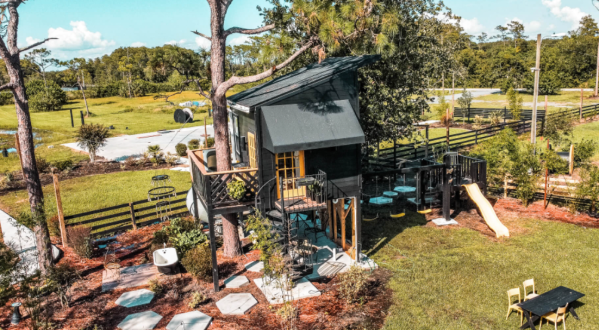 Sleep Among Towering Pines At The Beehive Treehouse In Florida