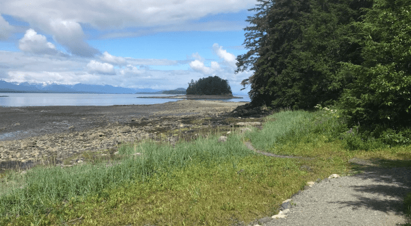 The Outer Point Loop Trail In Alaska Takes You To The Beach And Back