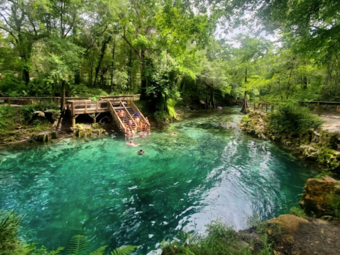This Crystal-Clear Spring And Swimming Hole In Florida Must Be On Your Summer Bucket List