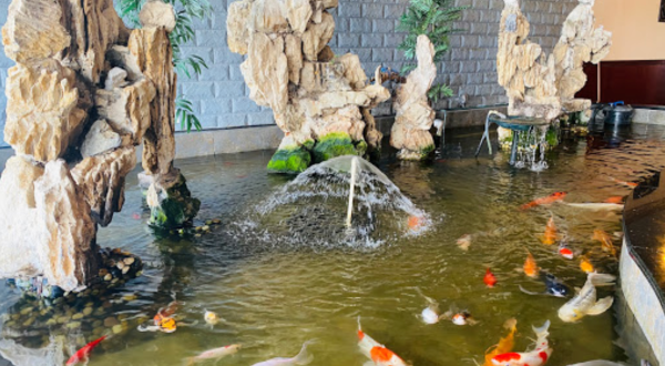 Dine With The Fishes At This One-Of-A-Kind Aquarium Restaurant In Kentucky