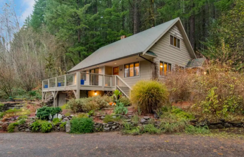 This Airbnb In A Forest Sanctuary In Washington Is One Of The Coolest Places To Spend The Night
