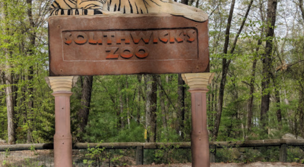One Of The Largest Zoos In The U.S. Is In Massachusetts, And It’s Magical
