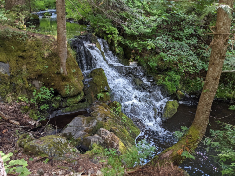 A Short But Beautiful Walk, Ogemaw Falls Trail Leads To A Little-Known Waterfall In Michigan
