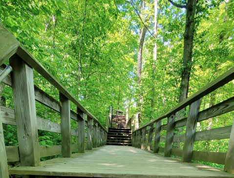 The Ohio Stairway Trail That Leads To A Waterfall Is Heaven On Earth