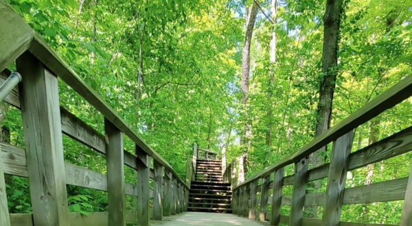 The Ohio Stairway Trail That Leads To A Waterfall Is Heaven On Earth