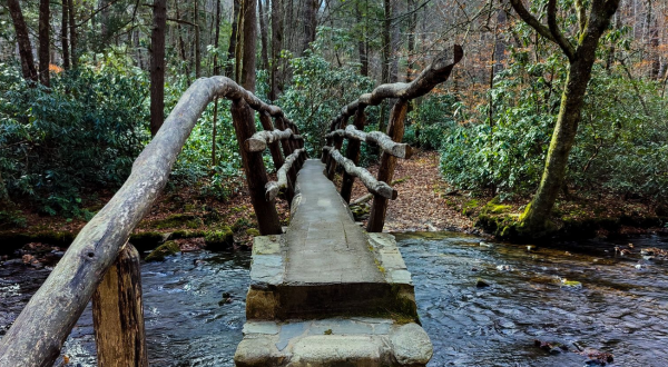 With Stream Crossings and Footbridges, The Little-Known Boogerman Trail In North Carolina Is Unexpectedly Magical