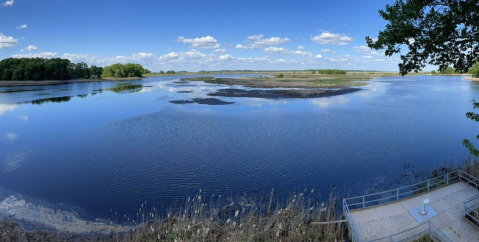 Hike Through A Wildlife Refuge In Delaware For An Incredible Outdoor Adventure