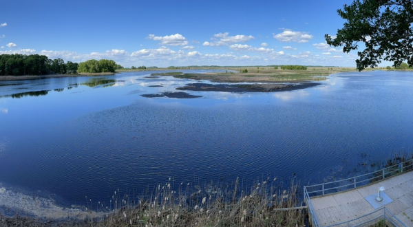 Hike Through A Wildlife Refuge In Delaware For An Incredible Outdoor Adventure