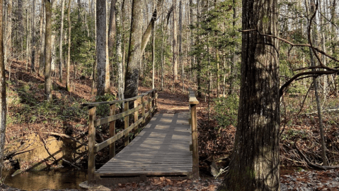 An Easy But Gorgeous Hike, Mountain Creek Trail Leads To A River In South Carolina