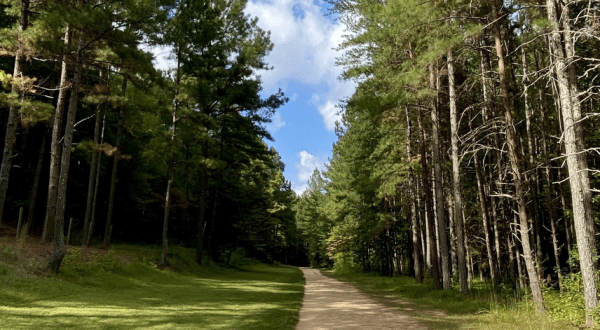 3 Scenic Hiking Trails Surround The Small Town Of Hillsborough, North Carolina
