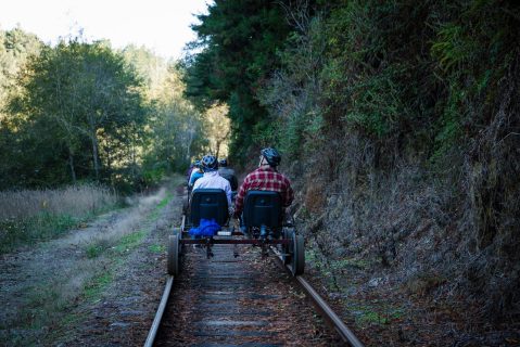 Take An LED Railbike Through The Redwoods For The Ultimate Nighttime Adventure In Northern California