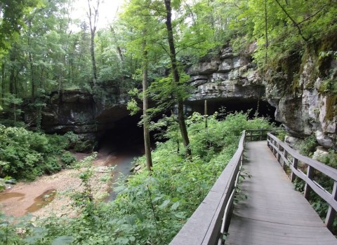 Hike To This Ancient Cave In Alabama For An Out-Of-This-World Experience