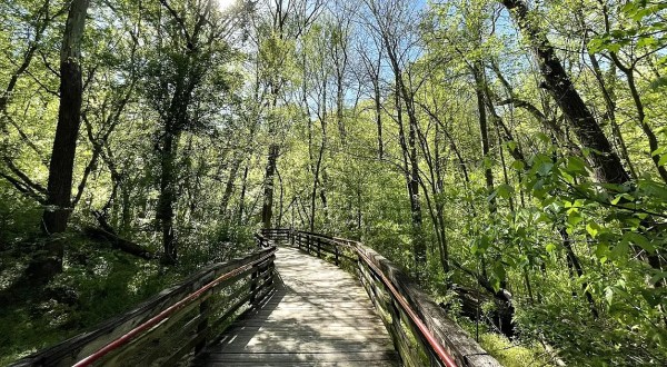 7 Easy And Beautiful Spring Hikes Everyone In Georgia Will Love
