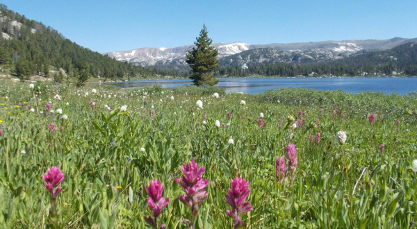 10 Easy And Beautiful Spring Hikes Everyone In Wyoming Will Love