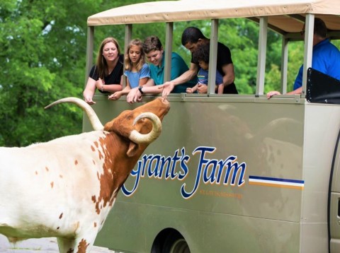 This Farm In Missouri Is Also A Restaurant And It's Fun For The Whole Family