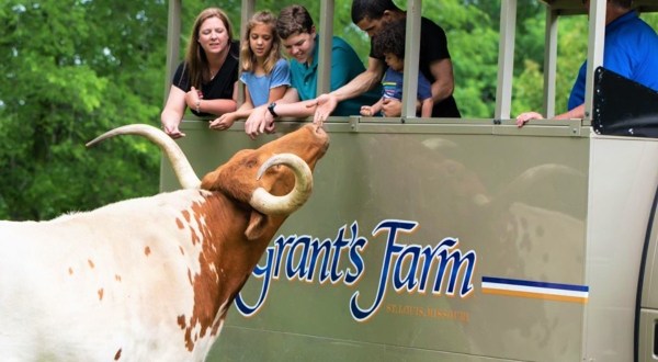 This Farm In Missouri Is Also A Restaurant And It’s Fun For The Whole Family