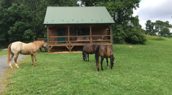 This Cabin On A Horse Farm In West Virginia Is One Of The Coolest Places To Spend The Night