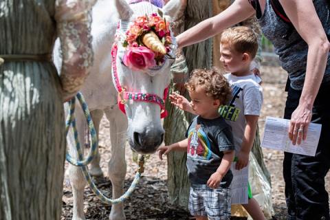 Meet Mermaids, Fairies, And Unicorns At FantasyWood Festival In Maryland