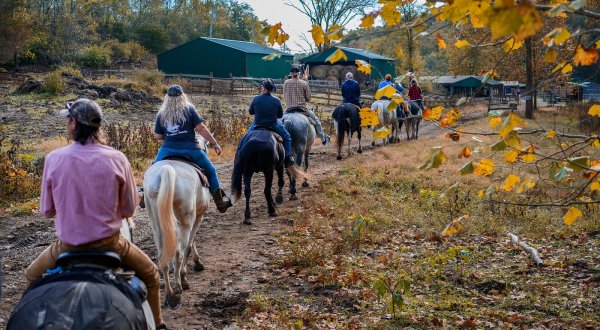 Explore The Bluegrass Backcountry On Horseback With Whispering Woods Riding Stables