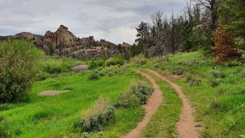 With Gorgeous Meadows and Unusual Rock Formations, The Little-Known Reynolds Hill Loop Trail In Wyoming Is Unexpectedly Magical