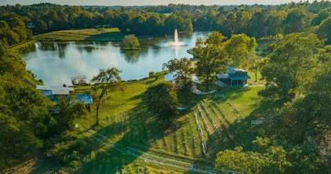 Arkansas’ Third Annual Lavender Festival Belongs On Your Summer Bucket List